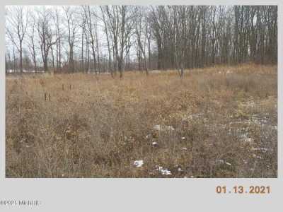 Residential Land For Sale in Lawton, Michigan