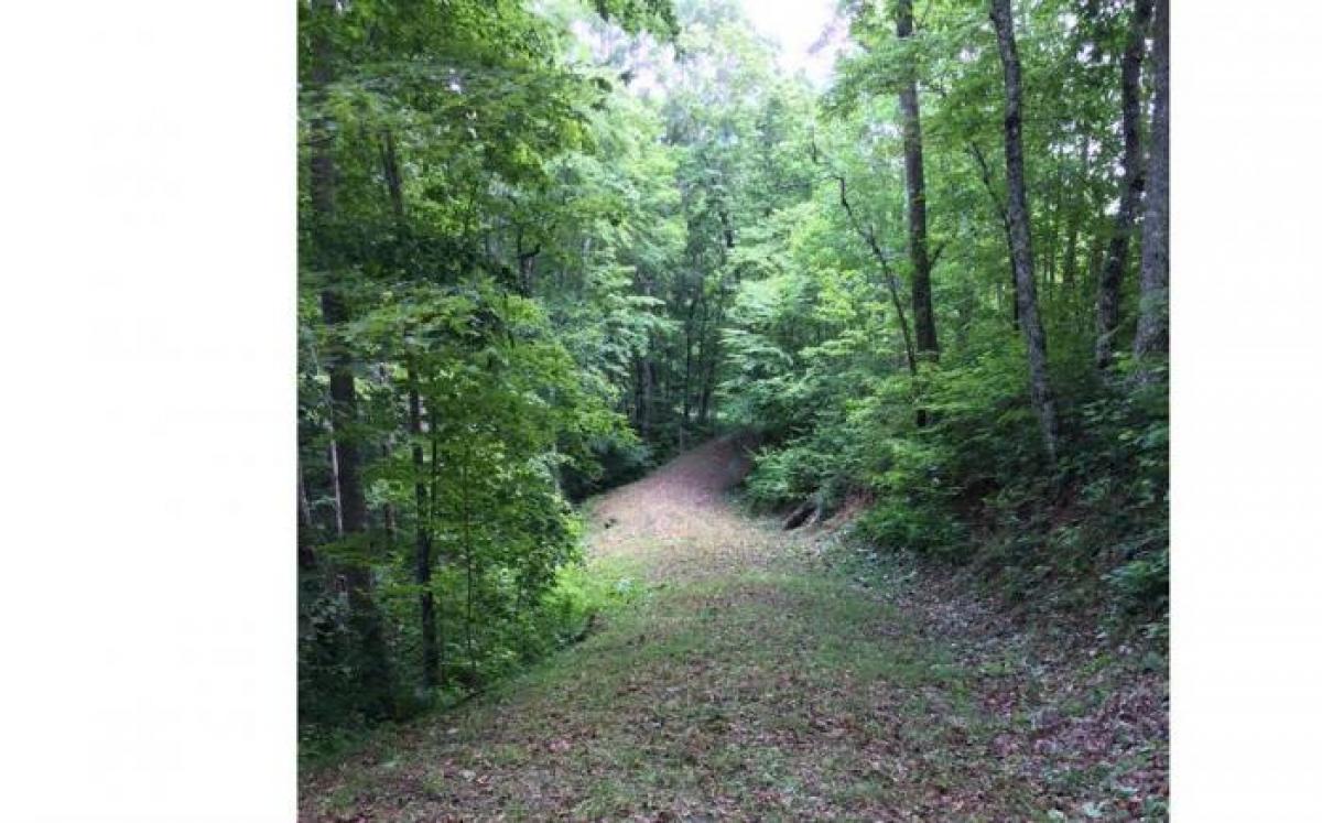 Picture of Residential Land For Sale in Hiawassee, Georgia, United States