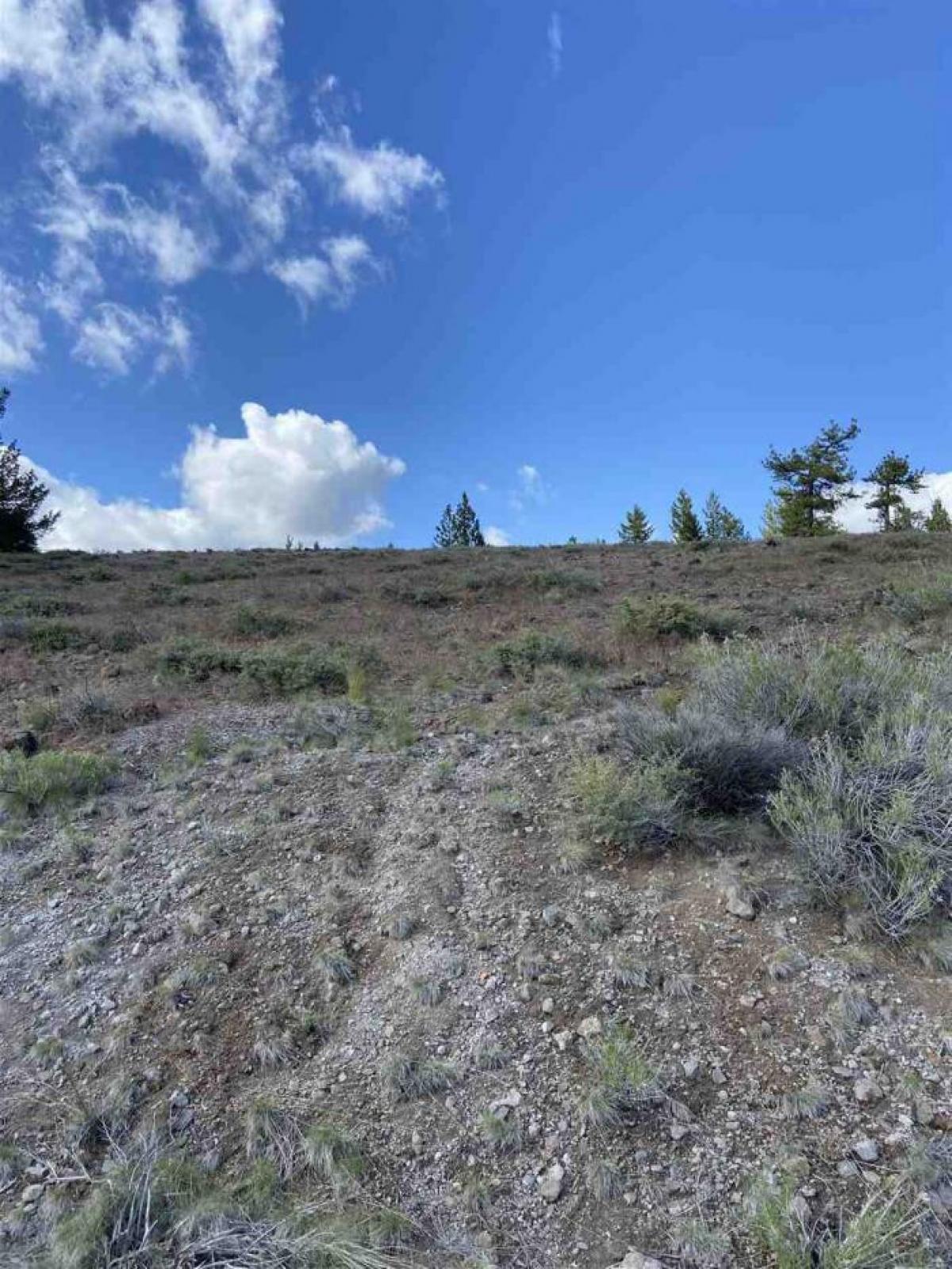 Picture of Residential Land For Sale in Portola, California, United States