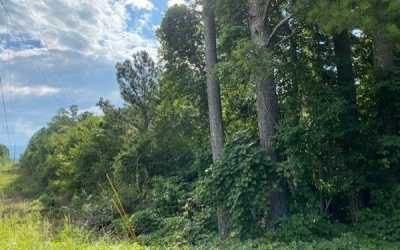 Residential Land For Sale in Copperhill, Tennessee