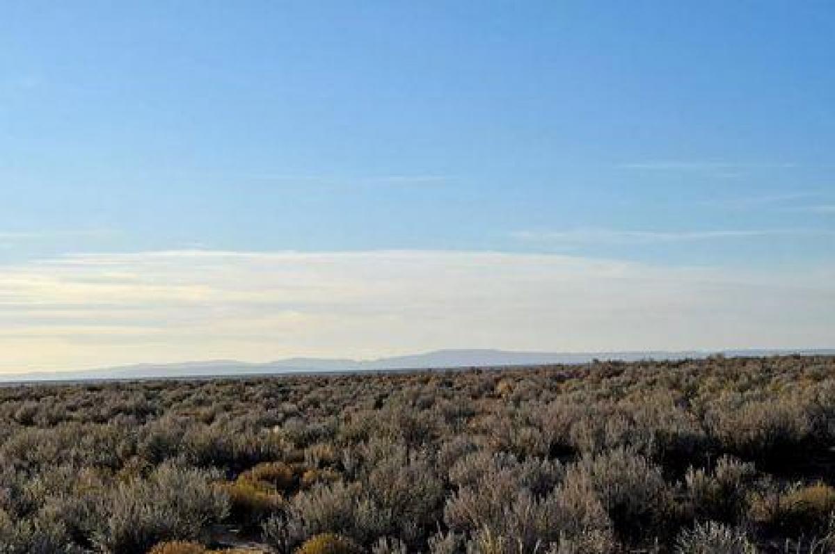 Picture of Residential Land For Sale in Los Lunas, New Mexico, United States