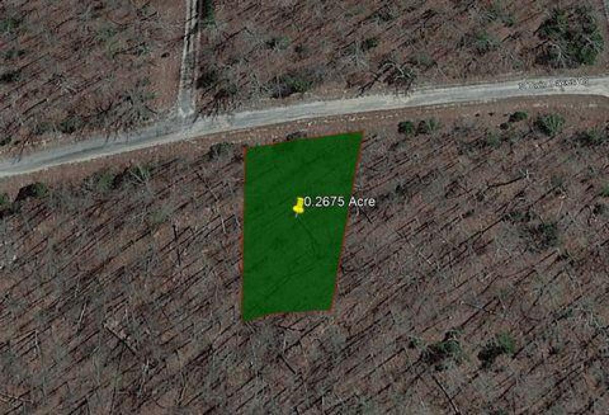 Picture of Residential Land For Sale in Horseshoe Bend, Arkansas, United States