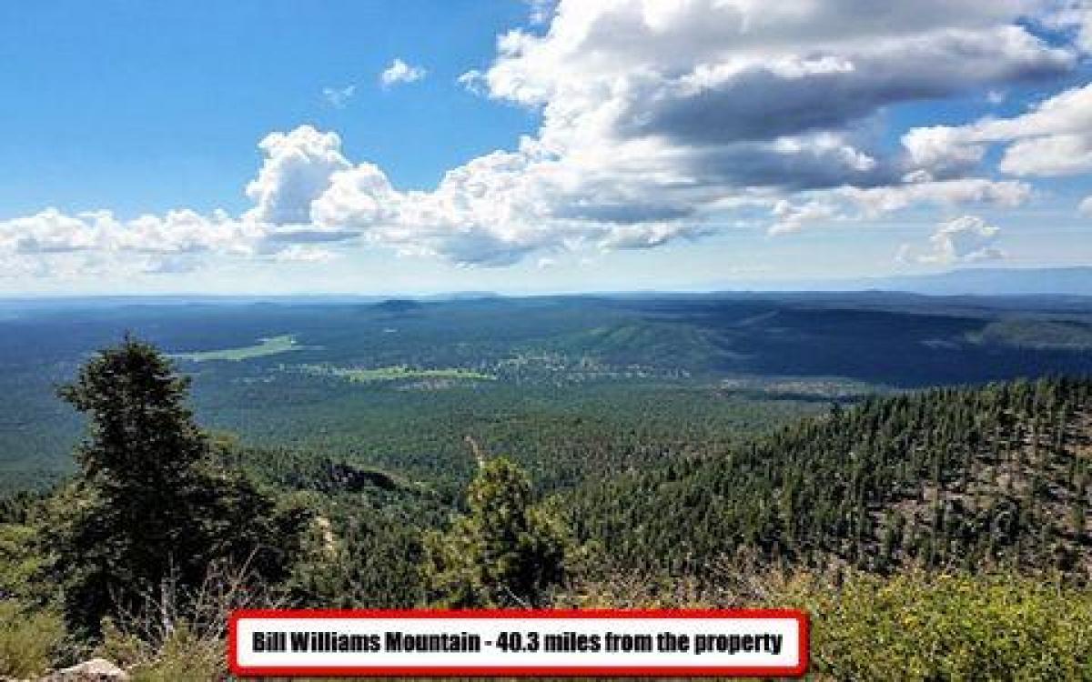 Picture of Residential Land For Sale in Ash Fork, Arizona, United States