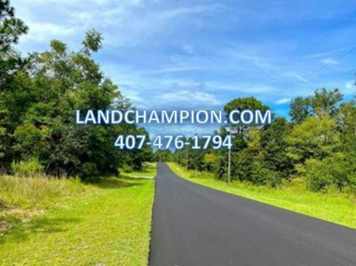 Picture of Residential Land For Sale in Citrus Springs, Florida, United States