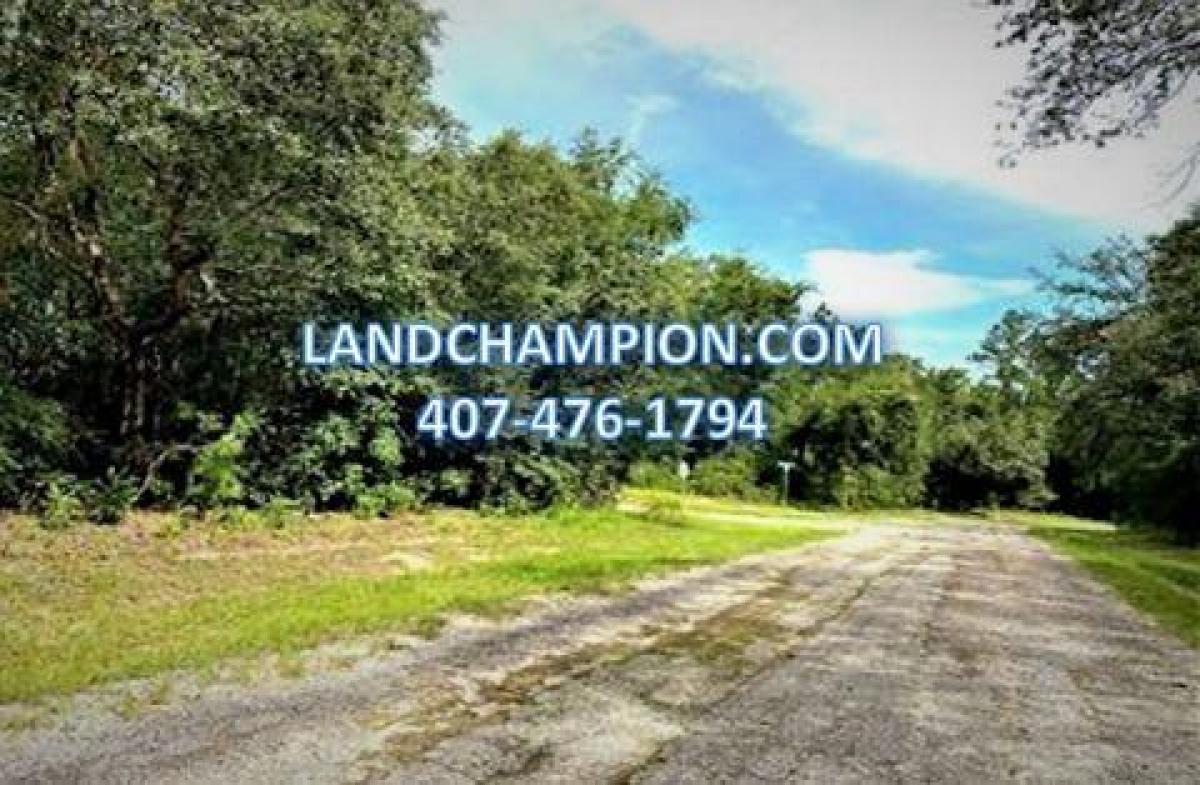 Picture of Residential Land For Sale in Citrus Springs, Florida, United States