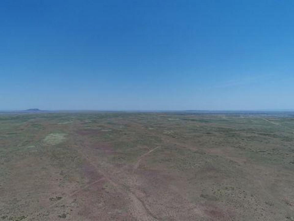 Picture of Residential Land For Sale in Holbrook, Arizona, United States