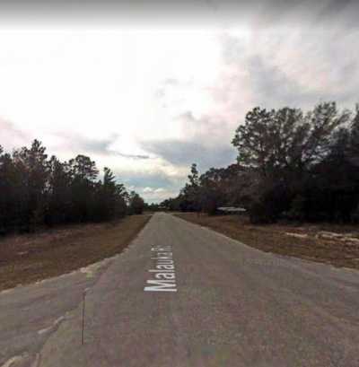 Residential Land For Sale in Ocklawaha, Florida