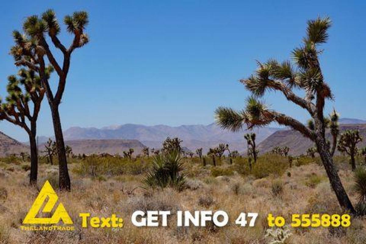Picture of Residential Land For Sale in Yucca Valley, California, United States