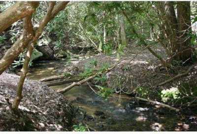 Residential Land For Sale in Canton, Georgia