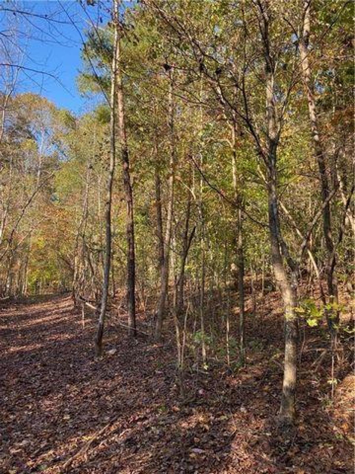 Picture of Residential Land For Sale in Alpharetta, Georgia, United States
