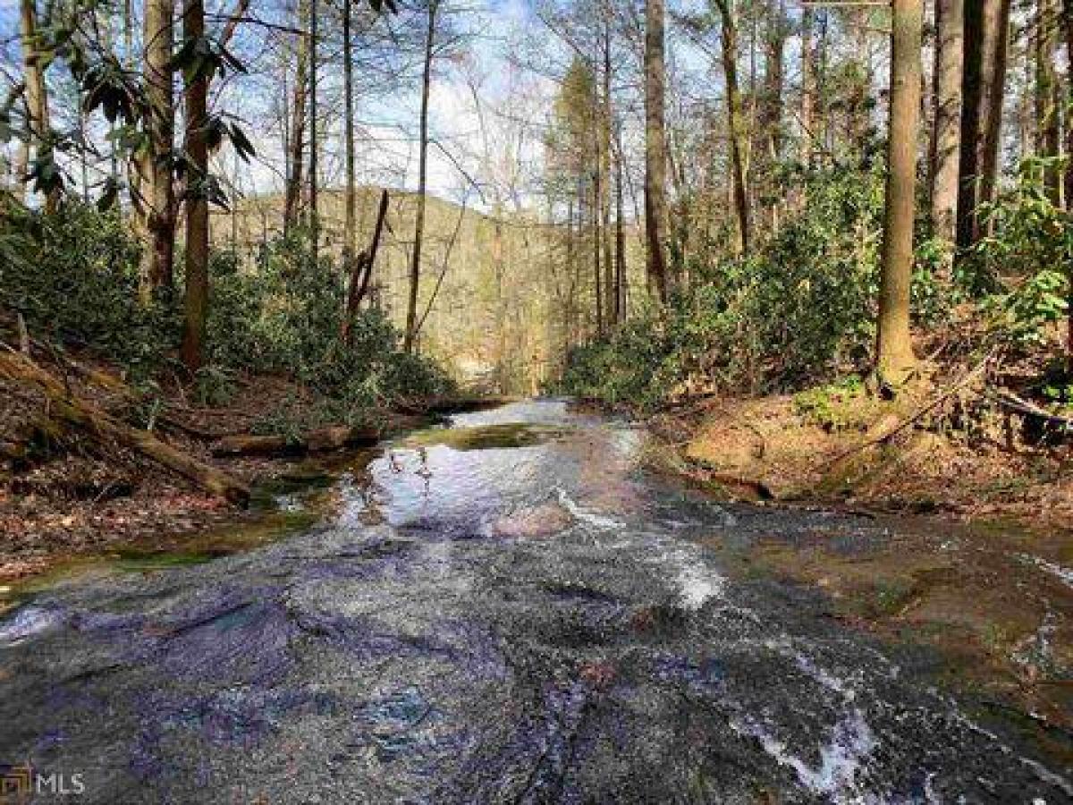 Picture of Residential Land For Sale in Cleveland, Georgia, United States