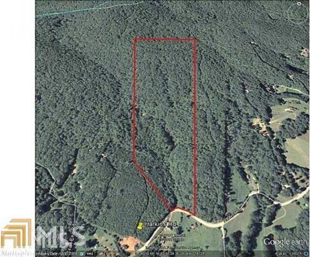 Picture of Residential Land For Sale in Cleveland, Georgia, United States