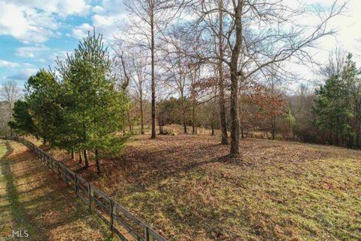 Picture of Residential Land For Sale in Gainesville, Georgia, United States