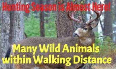 Residential Land For Sale in Orlando, Florida