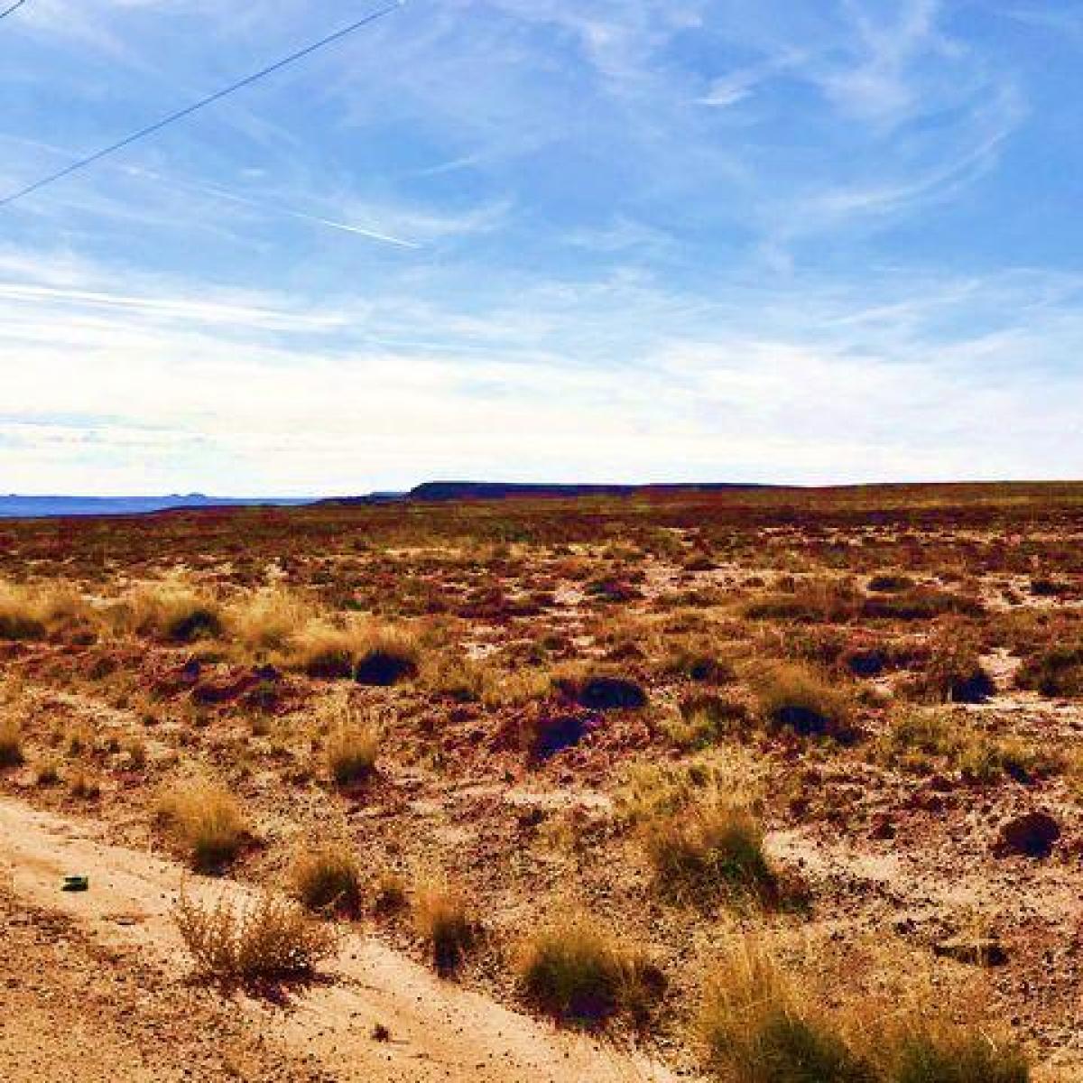 Picture of Residential Land For Sale in Holbrook, Arizona, United States