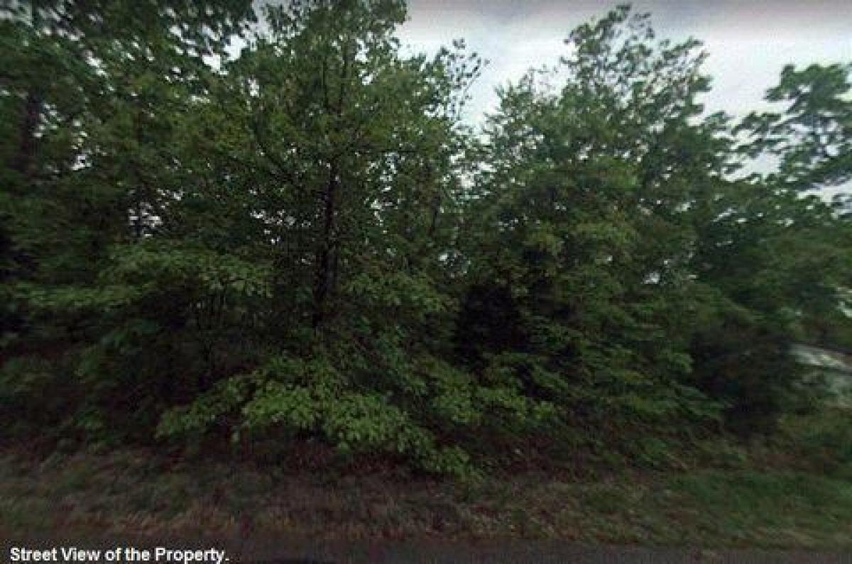 Picture of Residential Land For Sale in Horseshoe Bend, Arkansas, United States