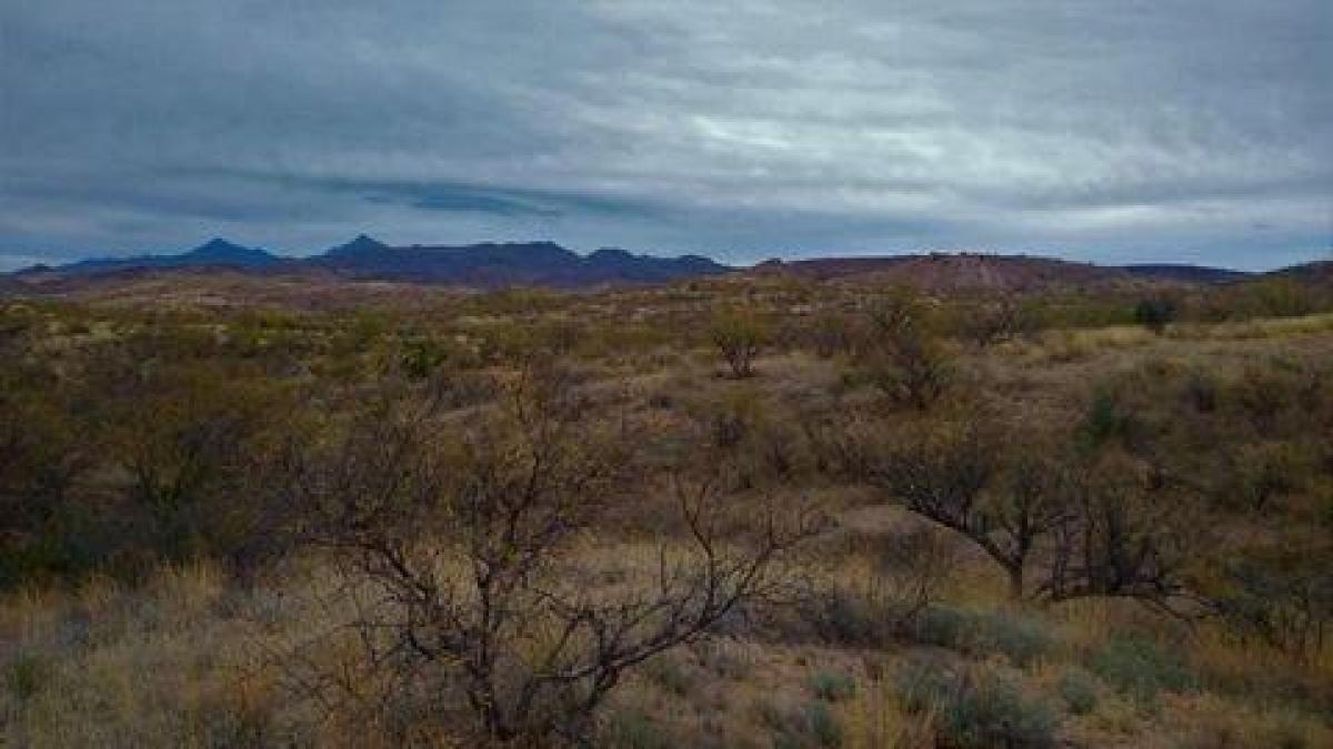 Picture of Residential Land For Sale in Rio Rico, Arizona, United States