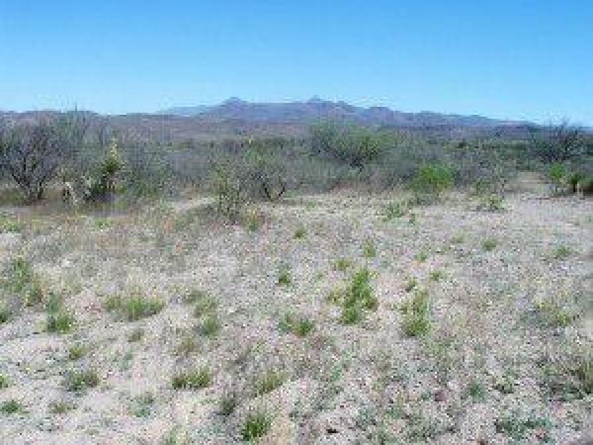 Picture of Residential Land For Sale in Rio Rico, Arizona, United States