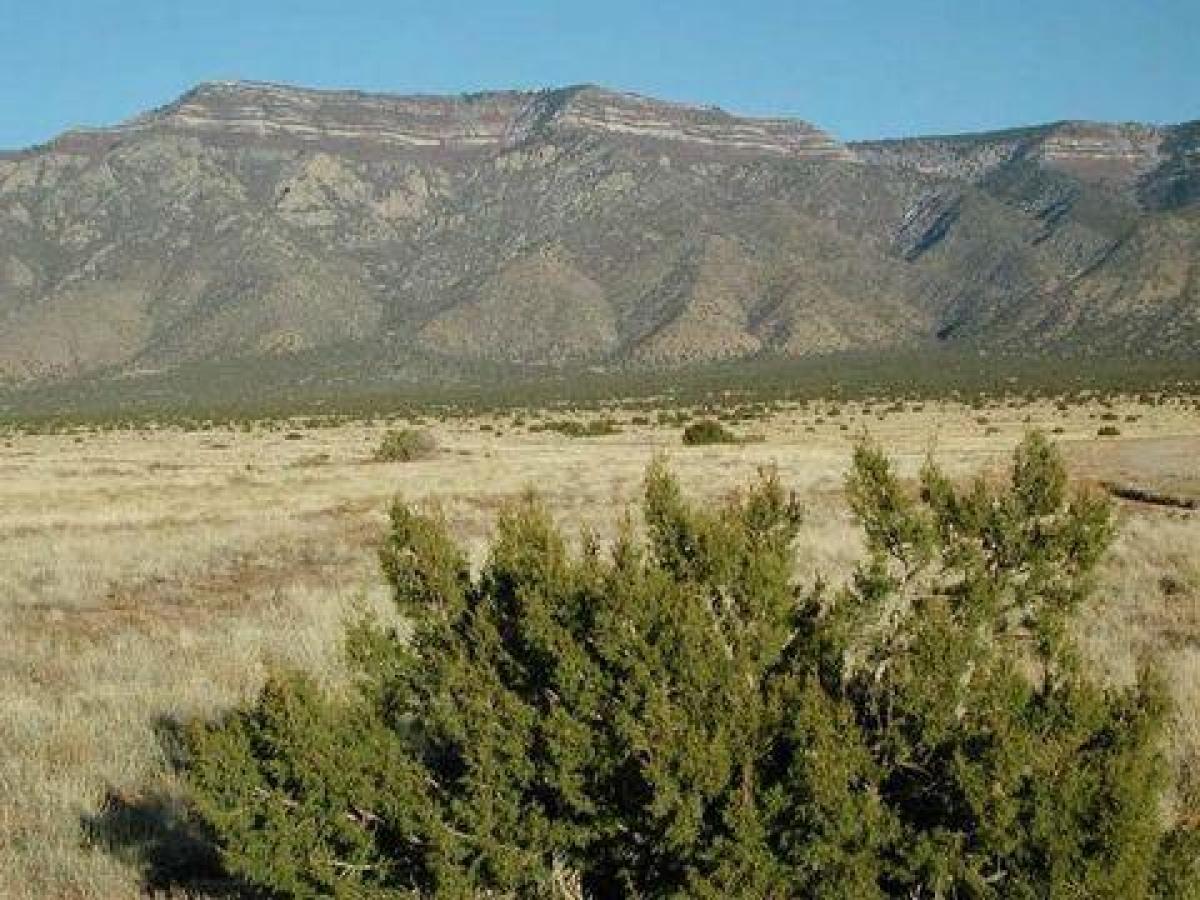 Picture of Residential Land For Sale in Los Lunas, New Mexico, United States