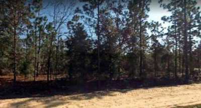 Residential Land For Sale in Florahome, Florida