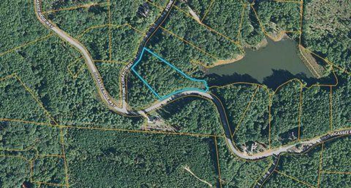 Picture of Residential Land For Sale in Mount Croghan, South Carolina, United States