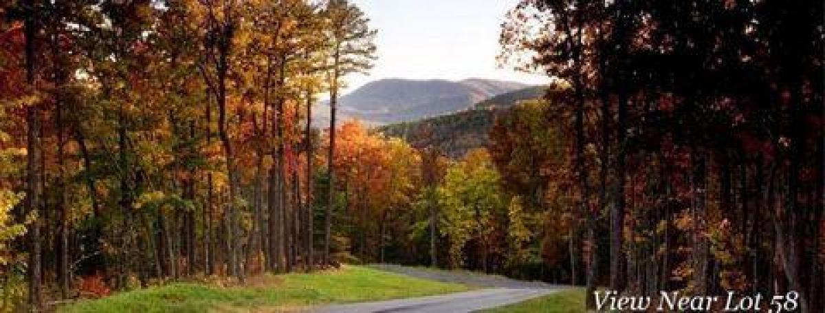 Picture of Residential Land For Sale in Zirconia, North Carolina, United States