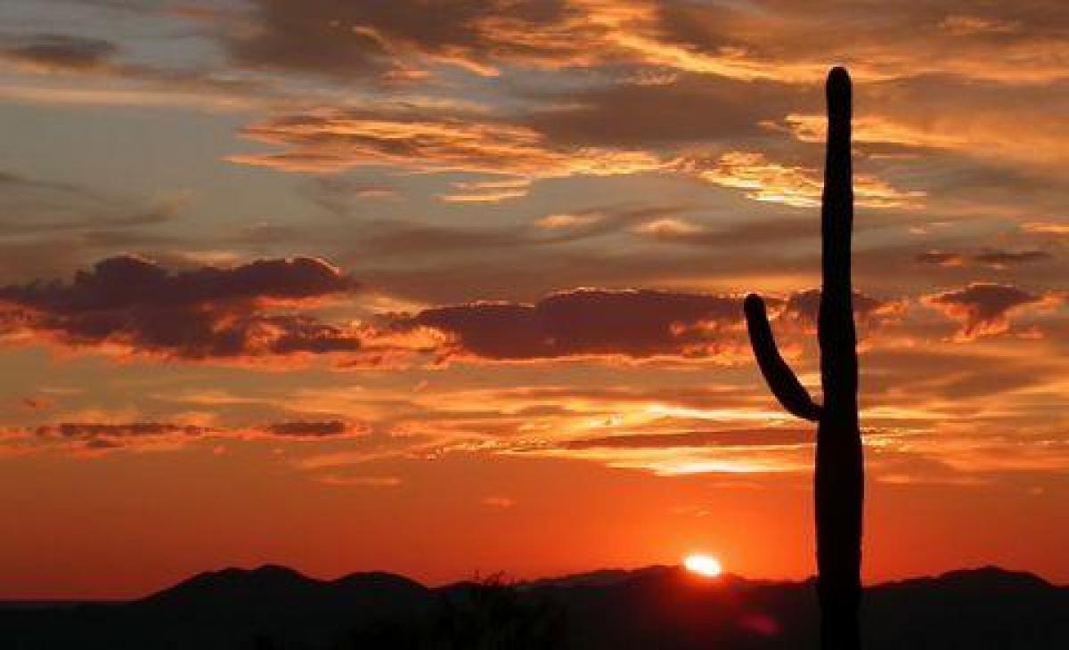 Picture of Residential Land For Sale in Holbrook, Arizona, United States