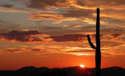 Residential Land For Sale in Holbrook, Arizona