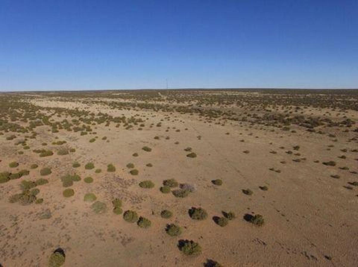 Picture of Residential Land For Sale in Saint Johns, Arizona, United States