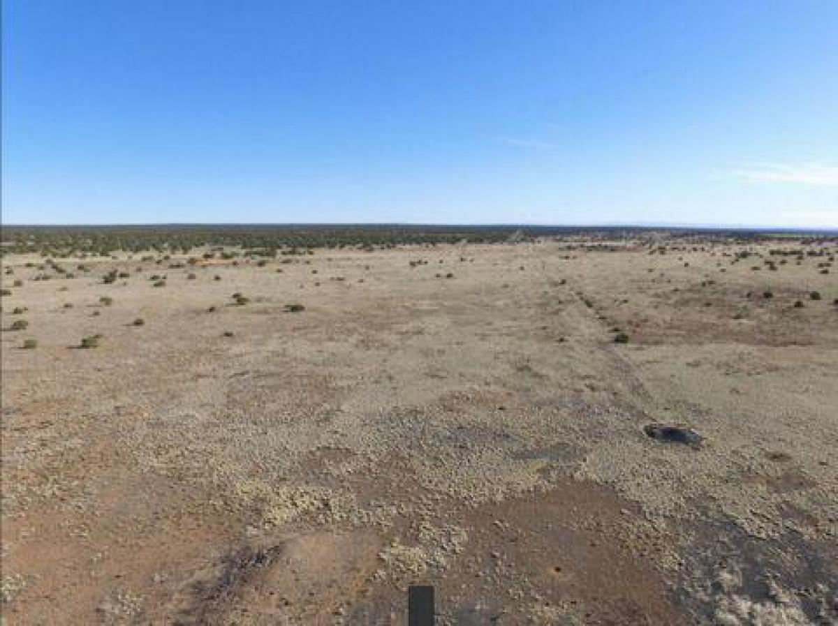 Picture of Residential Land For Sale in Saint Johns, Arizona, United States
