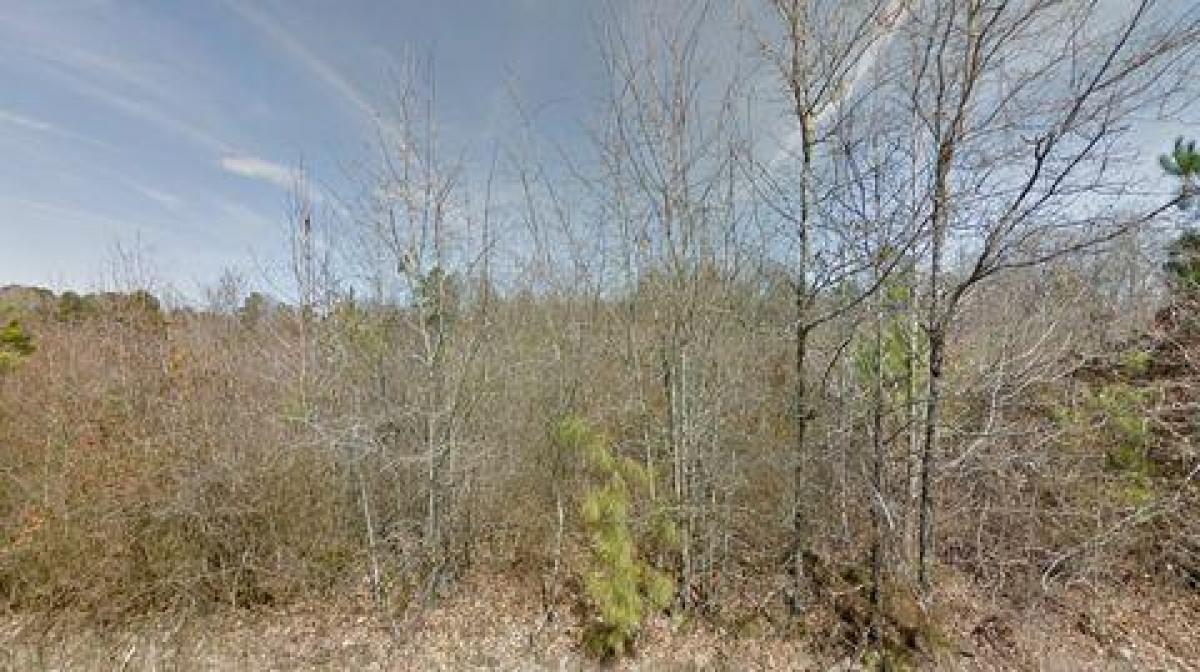 Picture of Residential Land For Sale in Pine Bluff, Arkansas, United States