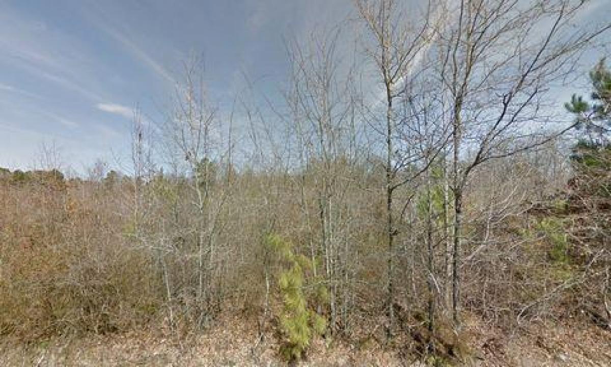 Picture of Residential Land For Sale in Pine Bluff, Arkansas, United States