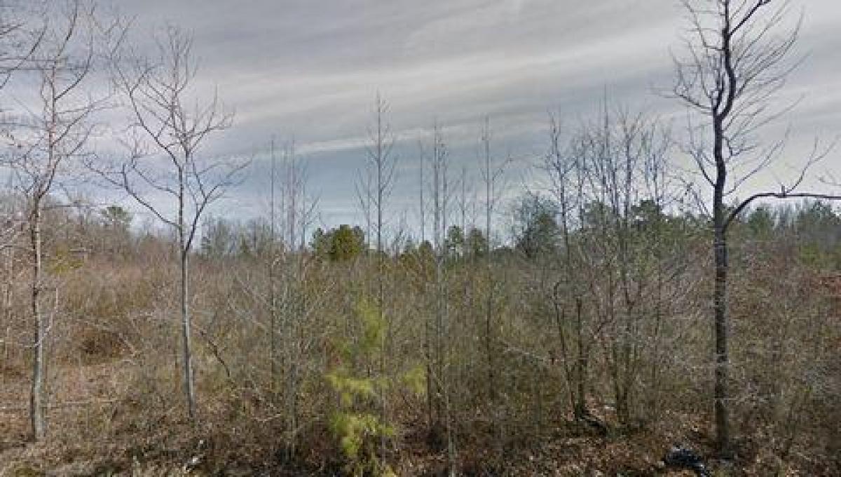 Picture of Residential Land For Sale in Pine Bluff, Arkansas, United States