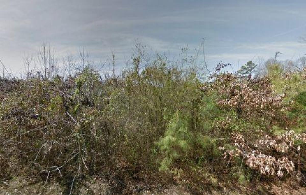 Picture of Residential Land For Sale in Pine Bluff, Arkansas, United States