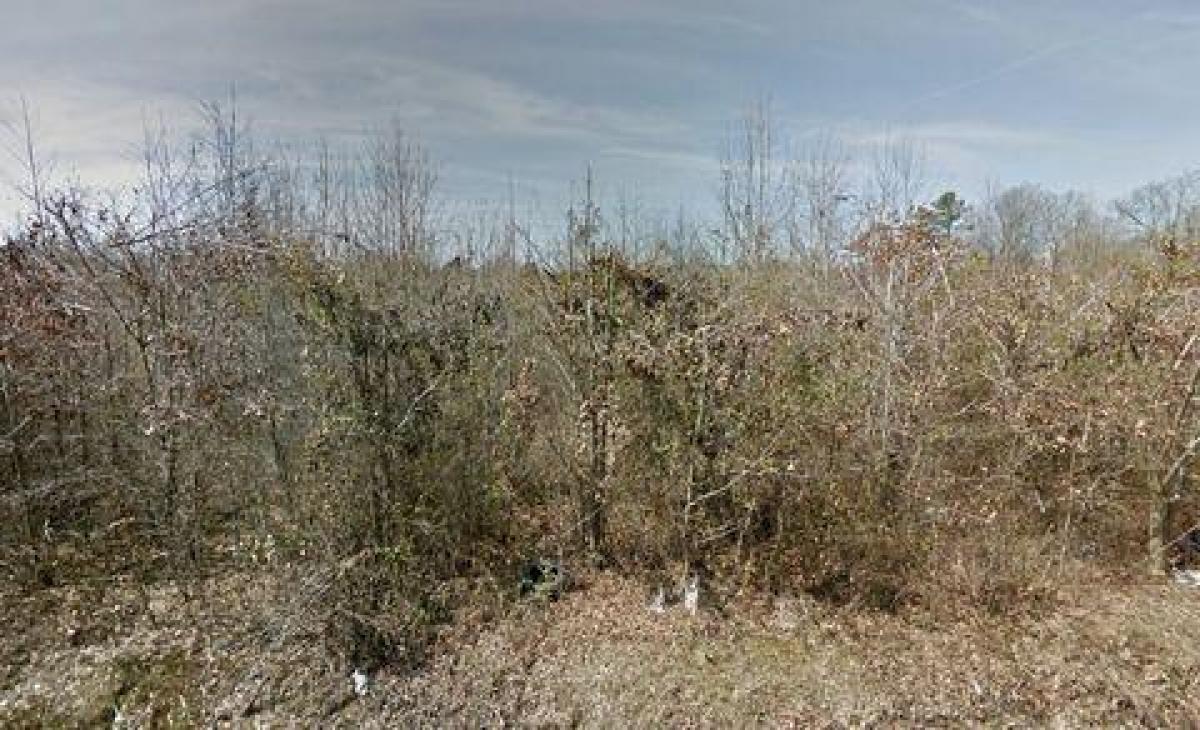 Picture of Residential Land For Sale in Pine Bluff, Arkansas, United States