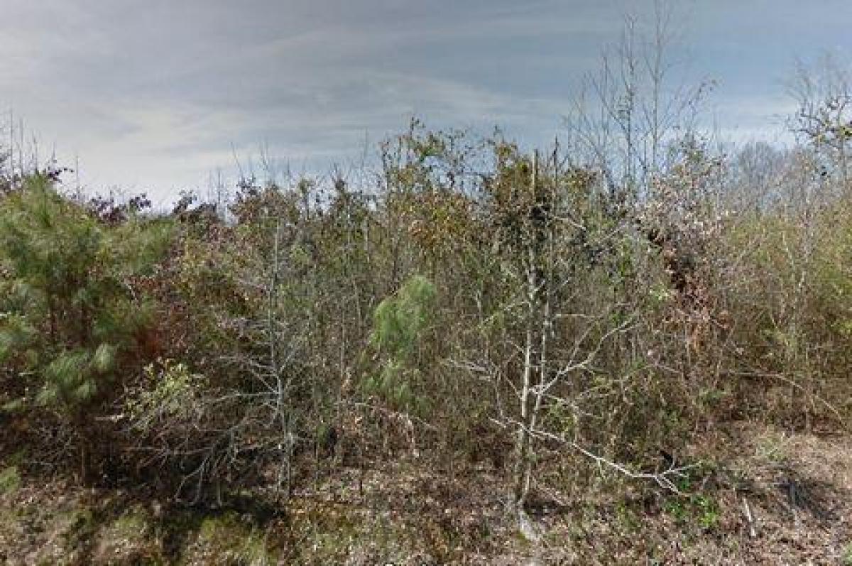 Picture of Residential Land For Sale in Pine Bluff, Arkansas, United States