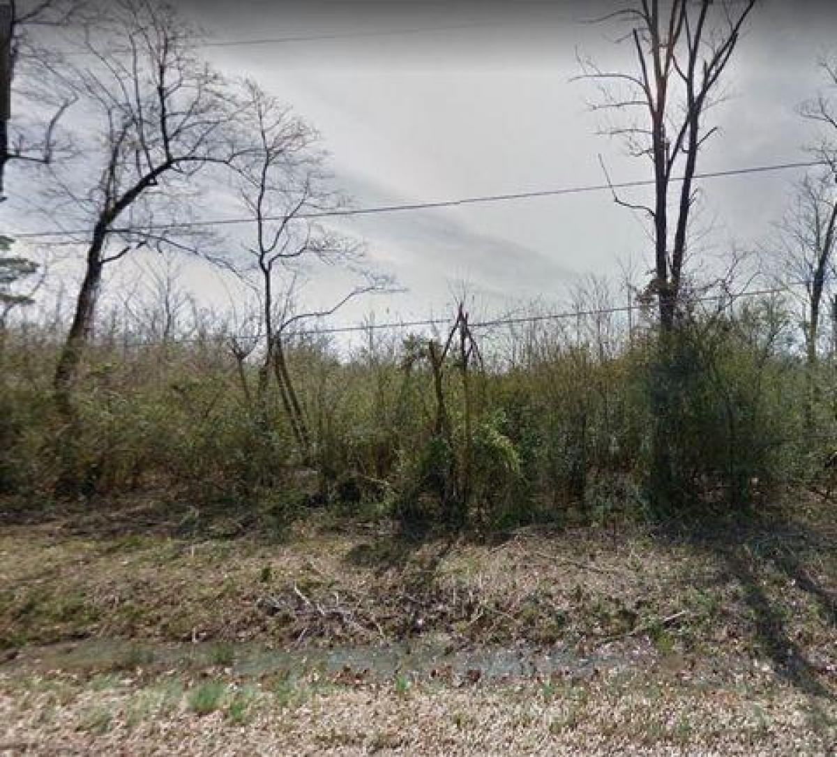 Picture of Residential Land For Sale in Pine Bluff, Arkansas, United States