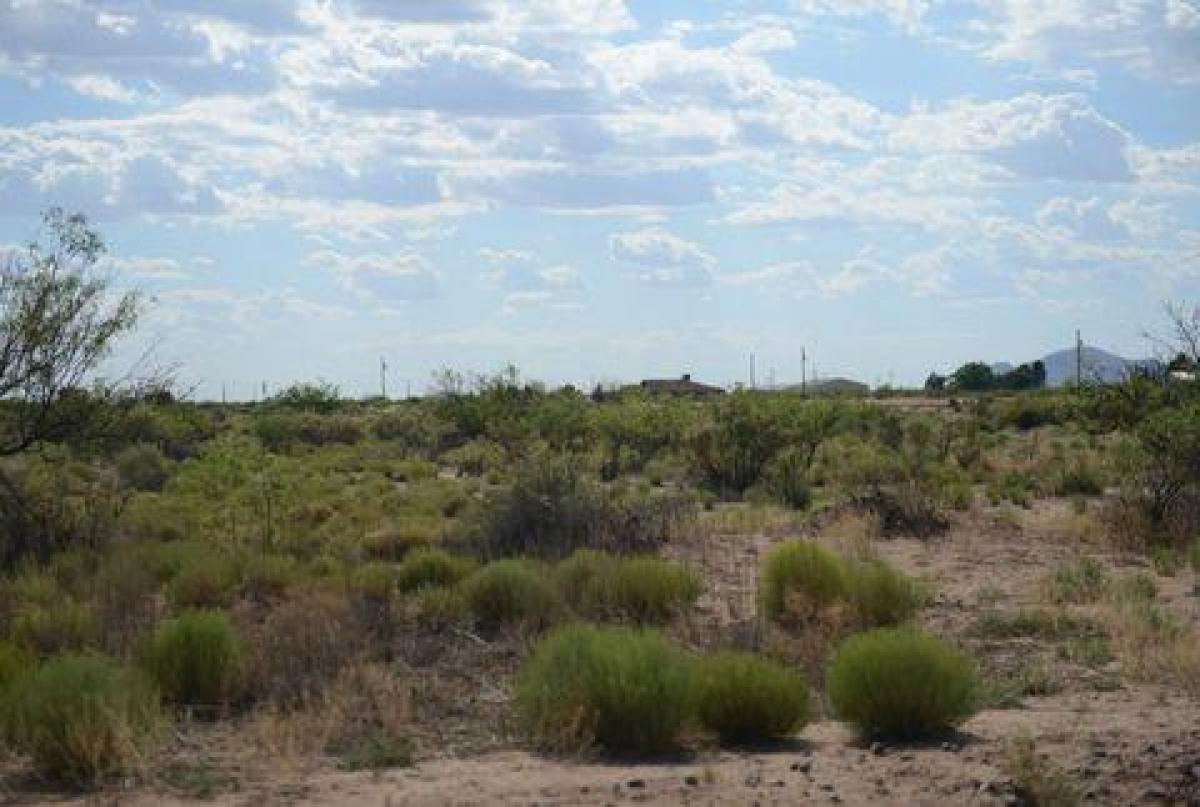 Picture of Residential Land For Sale in Deming, New Mexico, United States