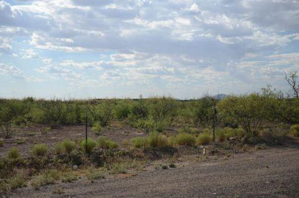 Picture of Residential Land For Sale in Deming, New Mexico, United States