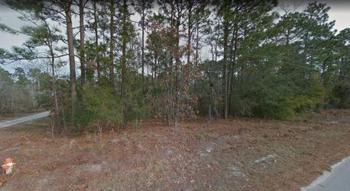 Picture of Residential Land For Sale in Boiling Spring Lakes, North Carolina, United States