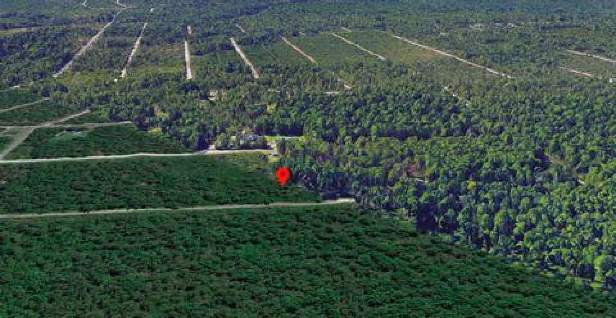 Picture of Residential Land For Sale in Boiling Spring Lakes, North Carolina, United States