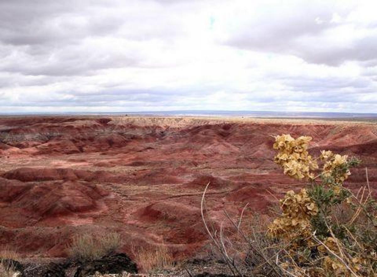Picture of Residential Land For Sale in Holbrook, Arizona, United States