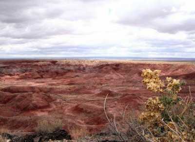 Residential Land For Sale in Holbrook, Arizona