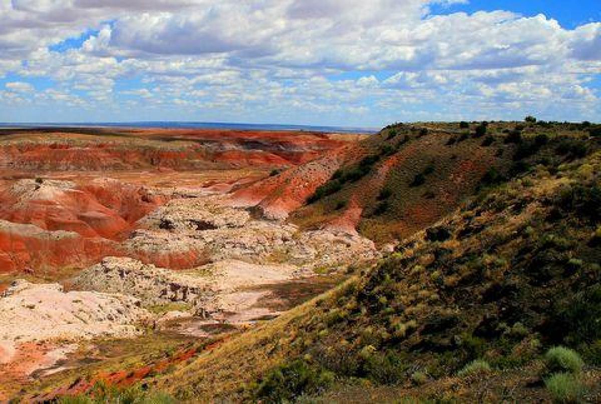 Picture of Residential Land For Sale in Holbrook, Arizona, United States