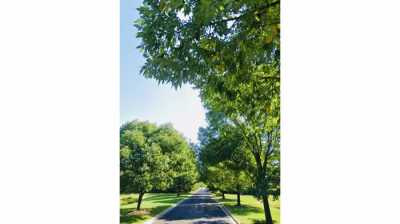 Residential Land For Sale in