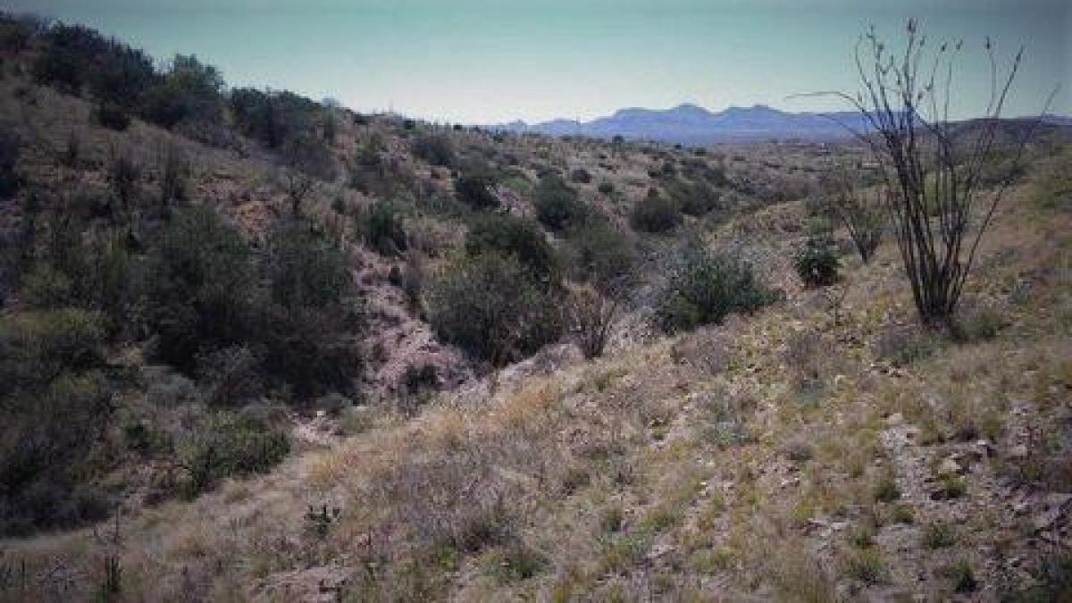 Picture of Residential Land For Sale in Rio Rico, Arizona, United States
