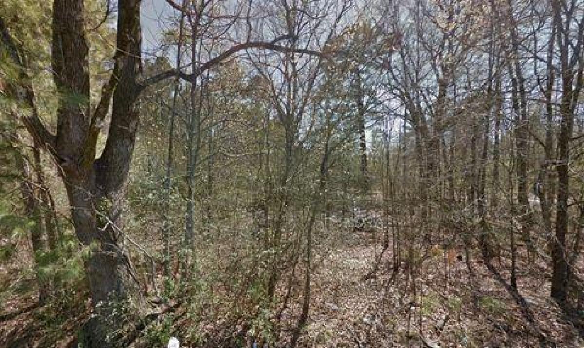 Picture of Residential Land For Sale in Pine Bluff, Arkansas, United States