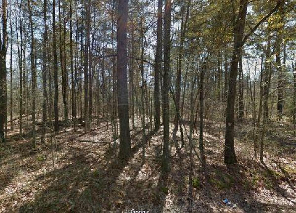Picture of Residential Land For Sale in Pine Bluff, Arkansas, United States