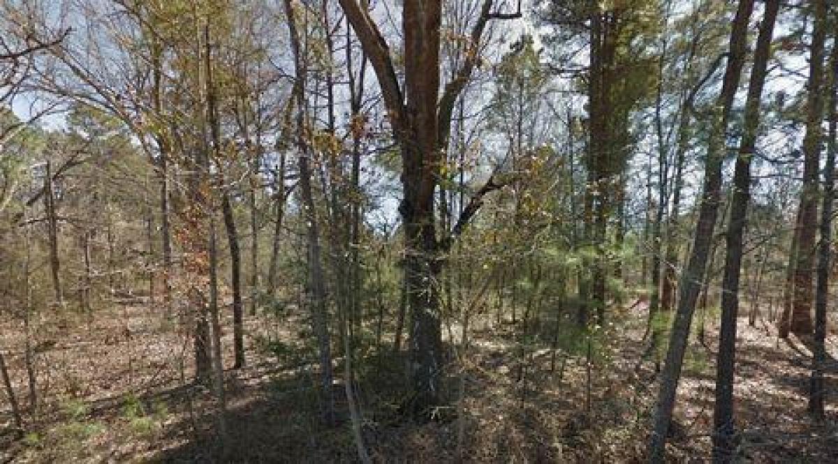 Picture of Residential Land For Sale in Pine Bluff, Arkansas, United States
