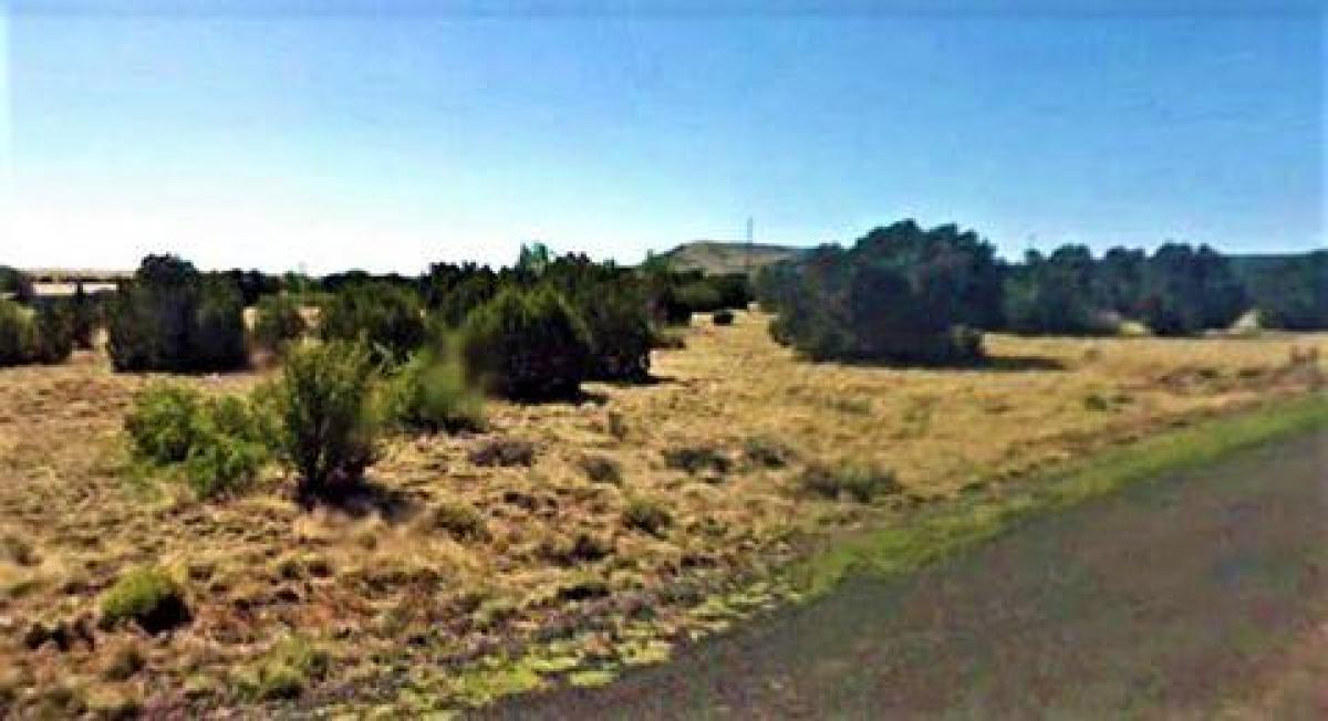 Picture of Residential Land For Sale in Concho, Arizona, United States